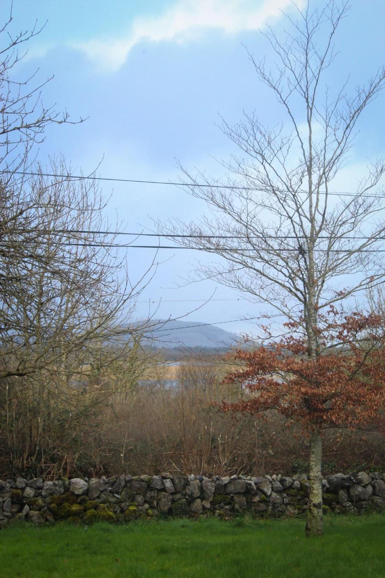 Riverside Cottage In The Burren Corofin  Kültér fotó