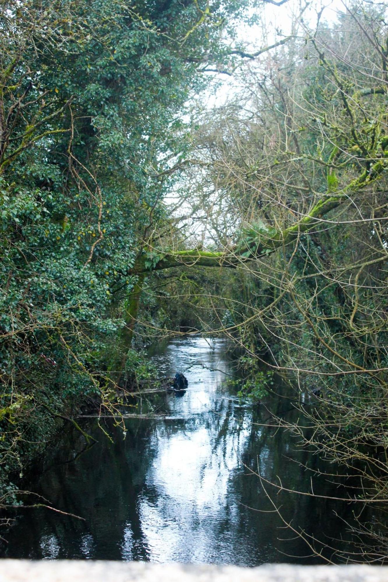 Riverside Cottage In The Burren Corofin  Kültér fotó